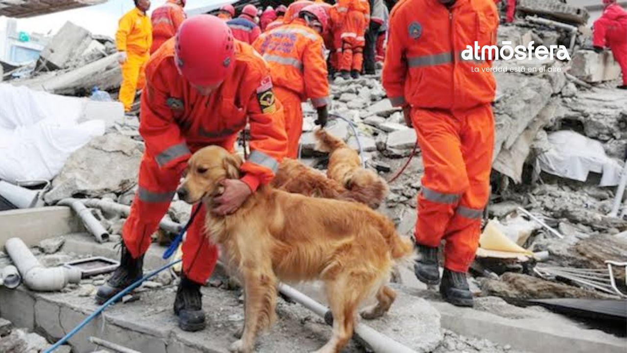 ¿Van por Colombia? Los Topos se alistan para rescatar sobrevivientes tras terremoto