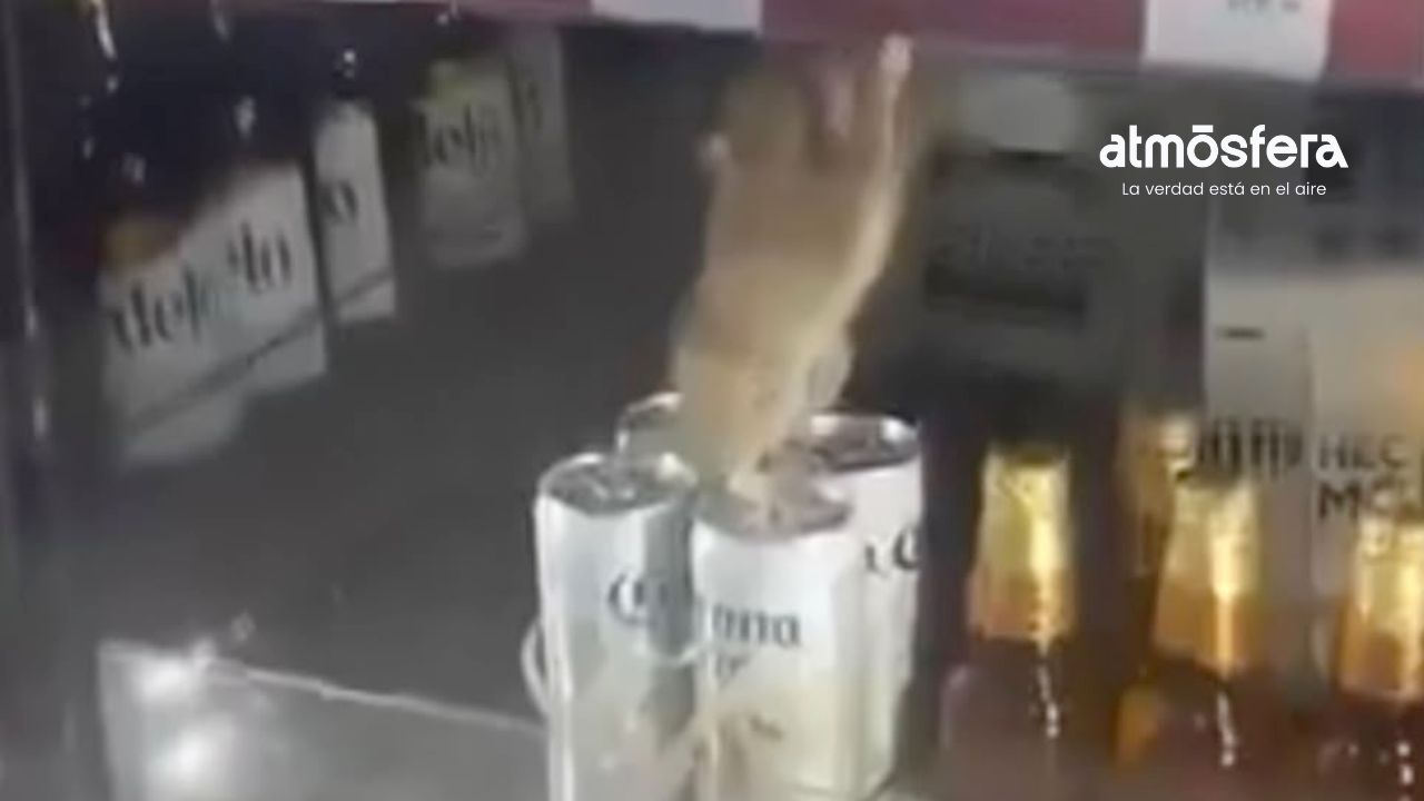 Captan ratón en el refri de Oxxo en Zapopan