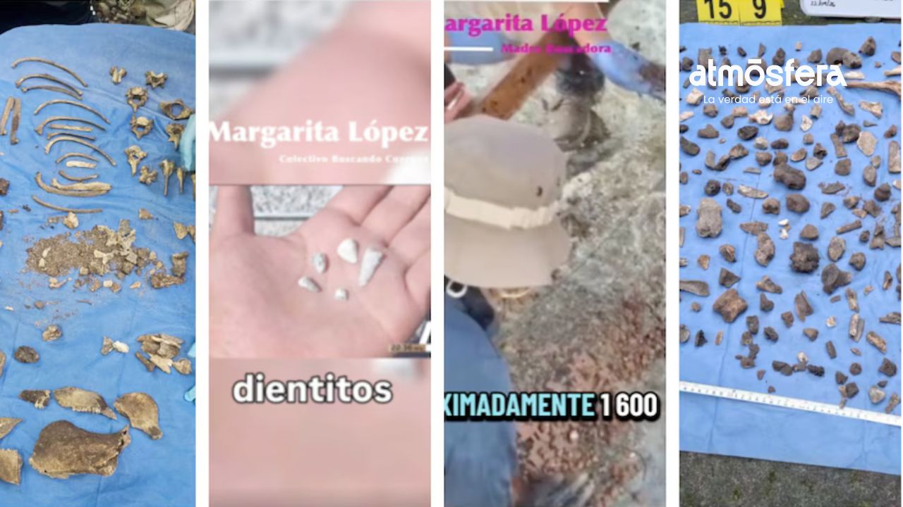 Colectivo reporta hallazgo de alrededor de mil 600 dientes de leche en fosas de Michoacán